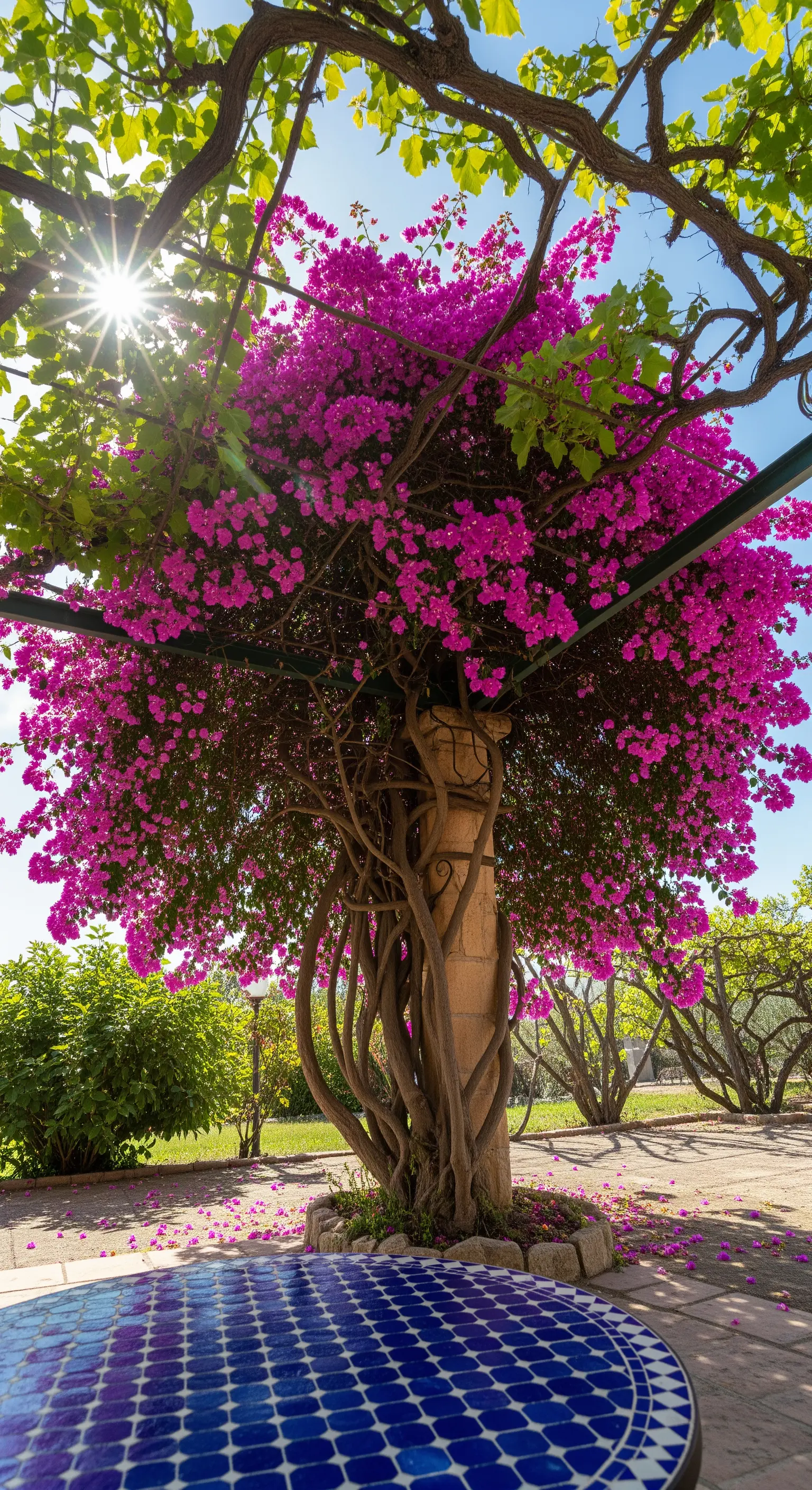 Colonna avvolta da una bouganville fucsia con tavolo in mosaico blu in primo piano.