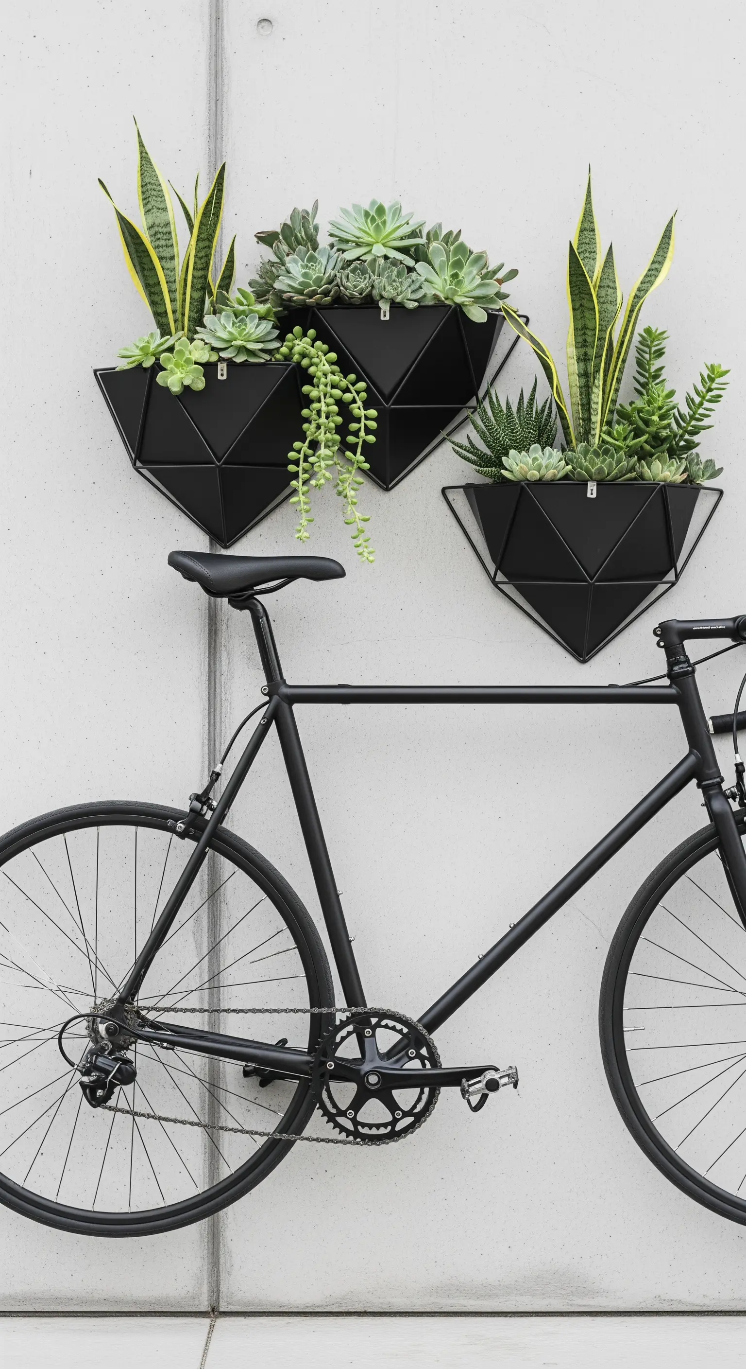 Bicicletta da corsa nera appoggiata a un muro di cemento, con vasi geometrici neri e piante grasse.