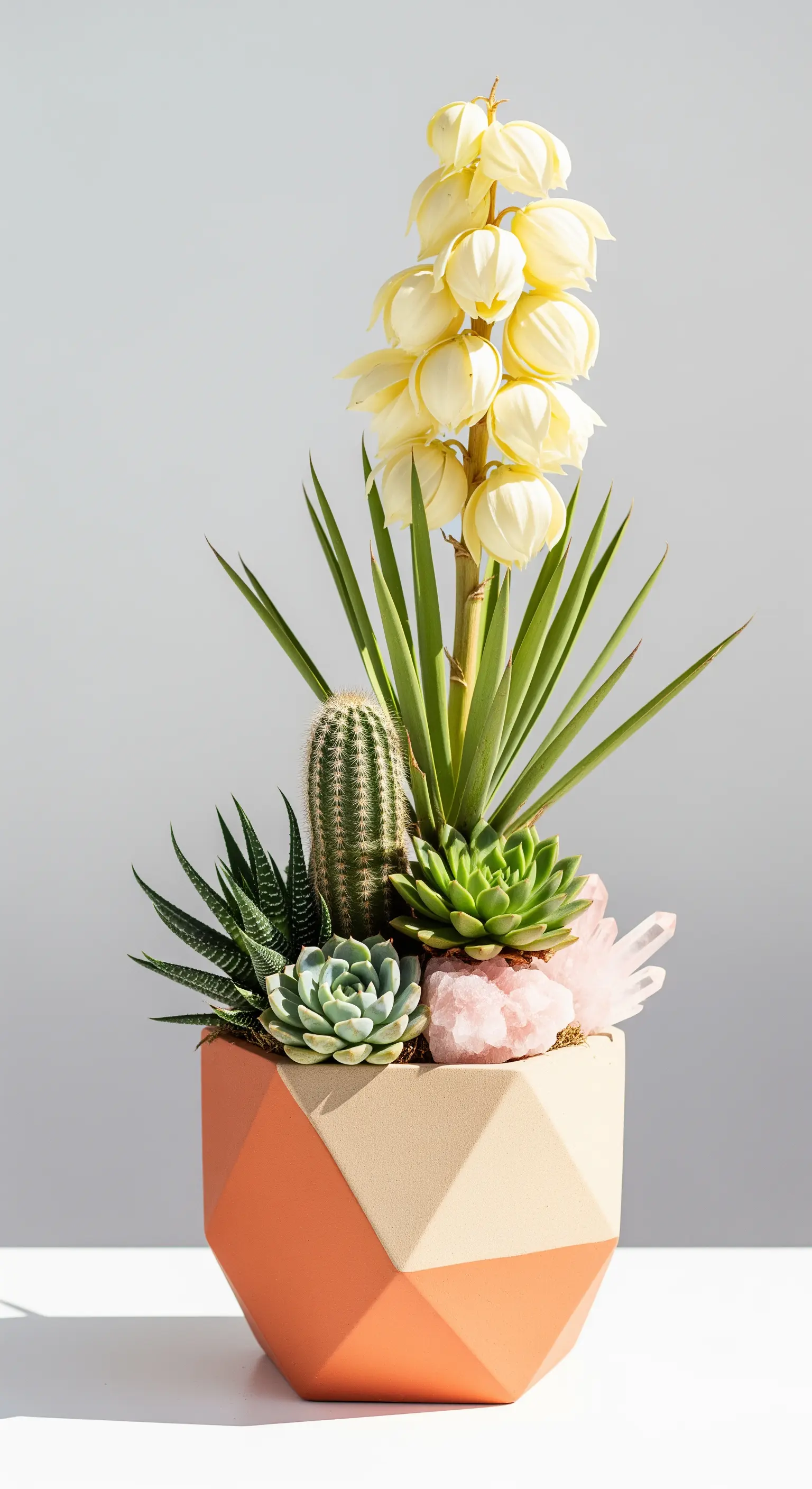 Vaso geometrico bicolore con una composizione di piante grasse e cristalli di quarzo rosa.