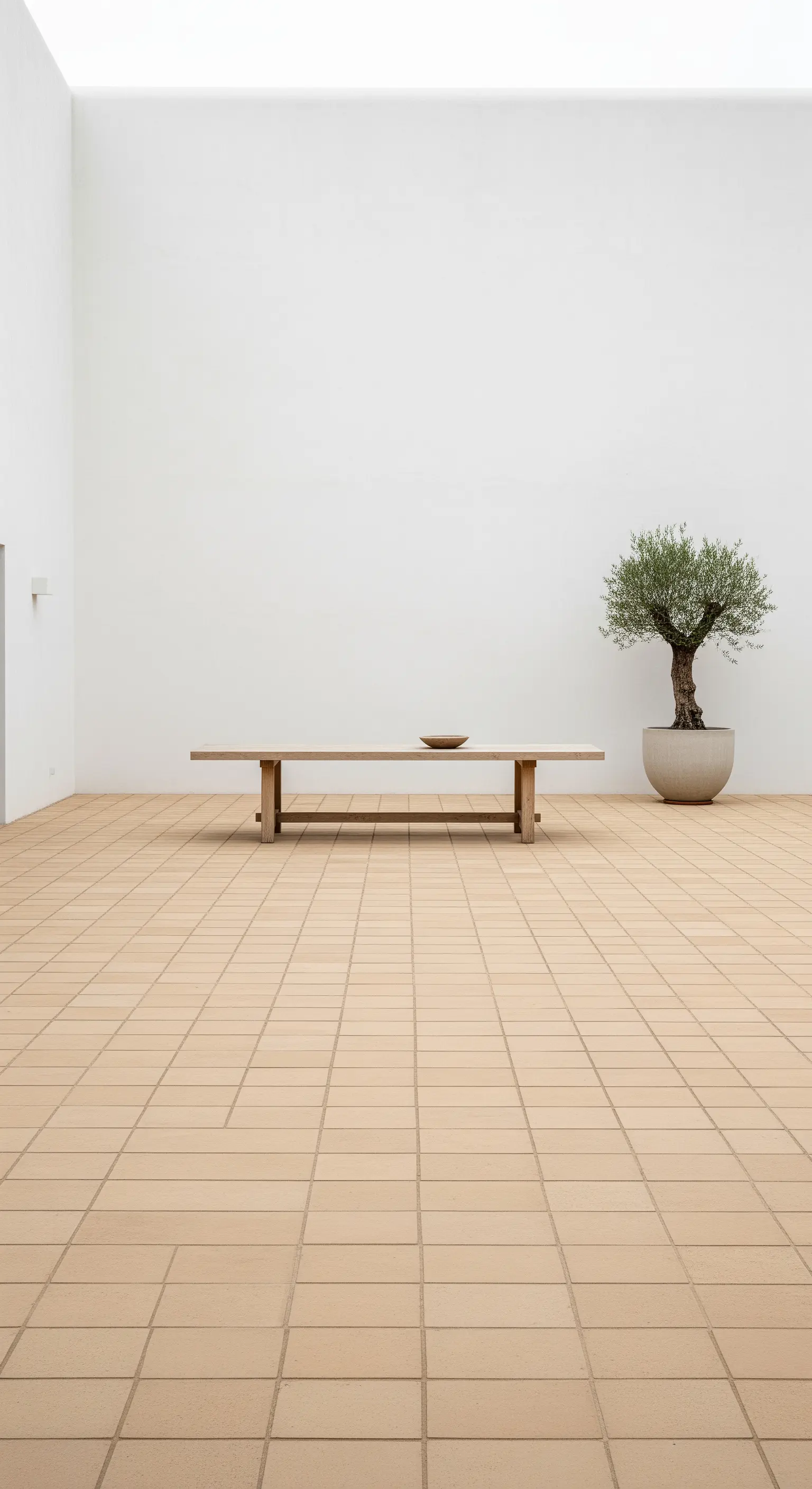 Patio minimalista e vuoto con pavimento in cotto chiaro, un tavolino basso e un ulivo.