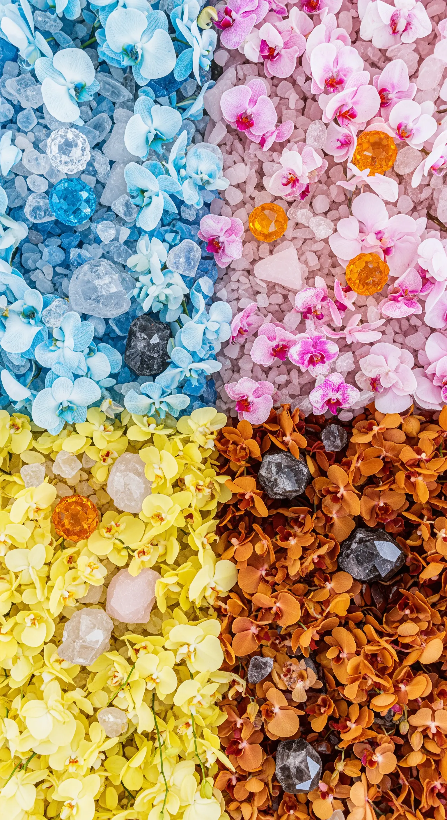 Flat lay di cristalli e petali di orchidee divisi in quattro sezioni di colore.
