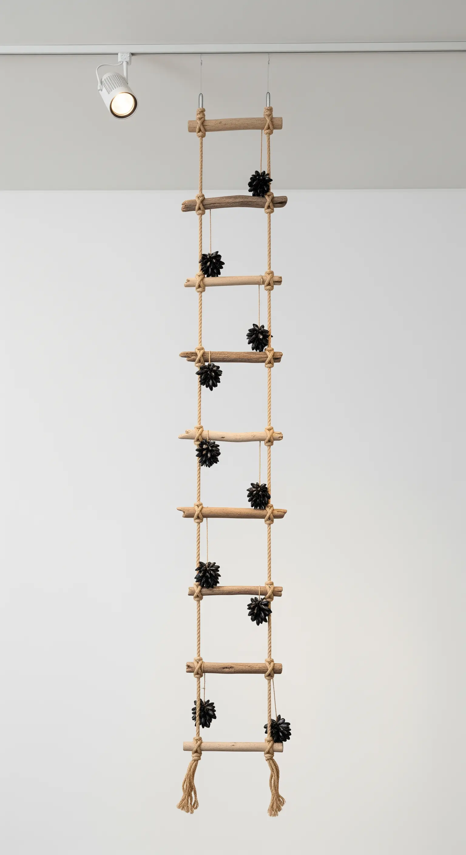 Scala di corda decorativa con pioli in legno di mare e ricci neri appesi.