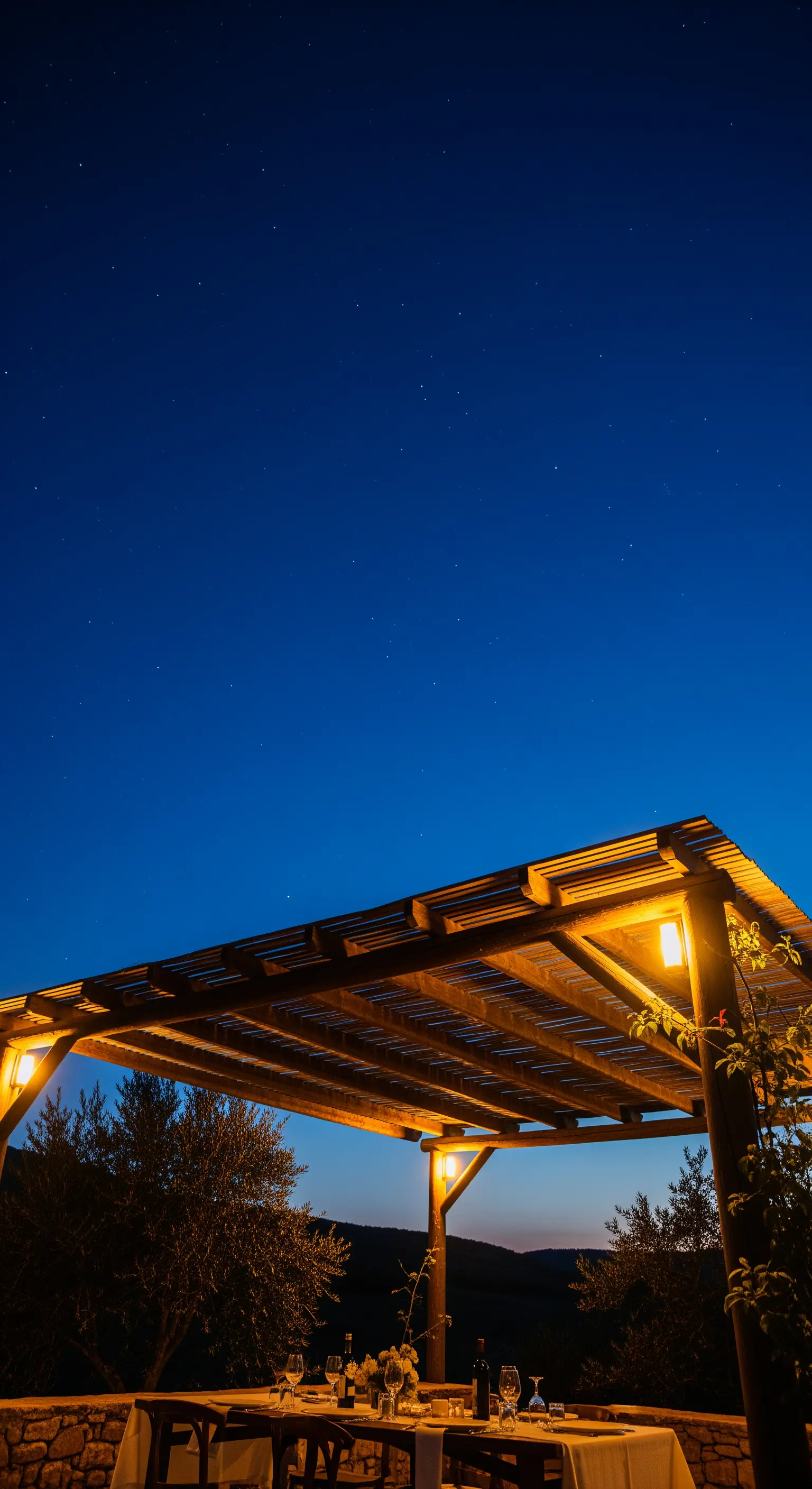 Profilo di un pergolato in legno di notte, che incornicia un cielo blu scuro pieno di stelle.